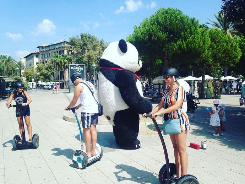 1 Hour Segway tour in Palma de Mallorca - Guides Juan and Mario: Where the Fun Meets the Safety