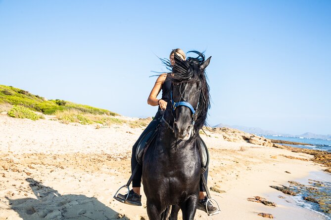 3-Hour Beach Horse Riding to Discover the Beauty of Alcudia Bay - Key Things You Will Notice on This Ride
