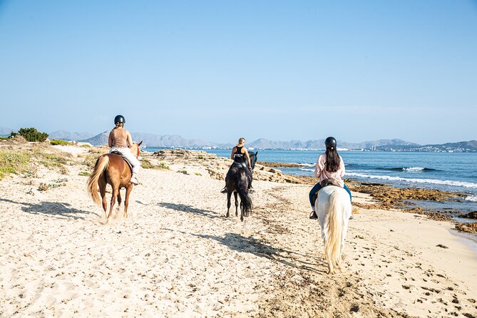 3-Hour Beach Horse Riding to Discover the Beauty of Alcudia Bay - Horses, Helmets, and Riding Levels: How They Keep It Safe and Comfortable