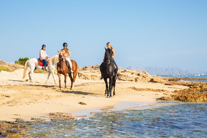 3-Hour Beach Horse Riding to Discover the Beauty of Alcudia Bay - Guides and Group Dynamics: What Can Change Your Experience
