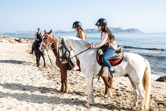 3-Hour Beach Horse Riding to Discover the Beauty of Alcudia Bay - Price and Value: What $90.12 Buys You