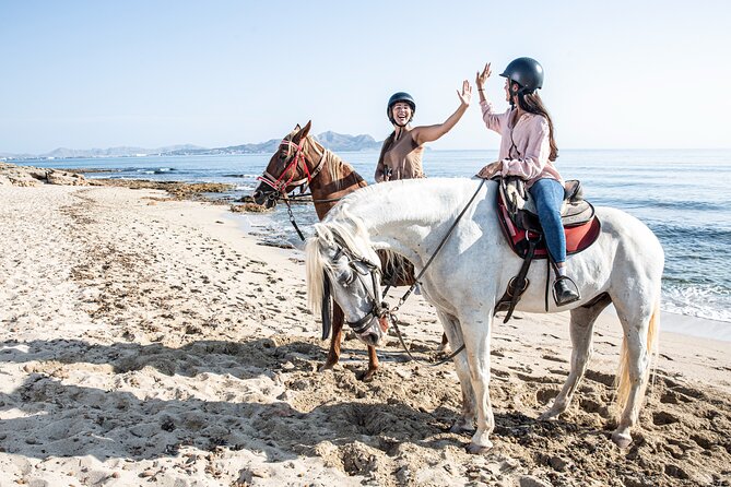 3-Hour Beach Horse Riding to Discover the Beauty of Alcudia Bay - What to Bring so Your Body Feels Good After