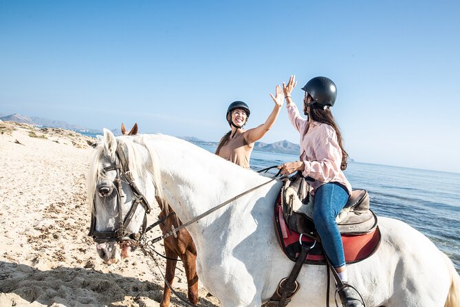 3-Hour Beach Horse Riding to Discover the Beauty of Alcudia Bay - Who This Horse Ride Is Best For