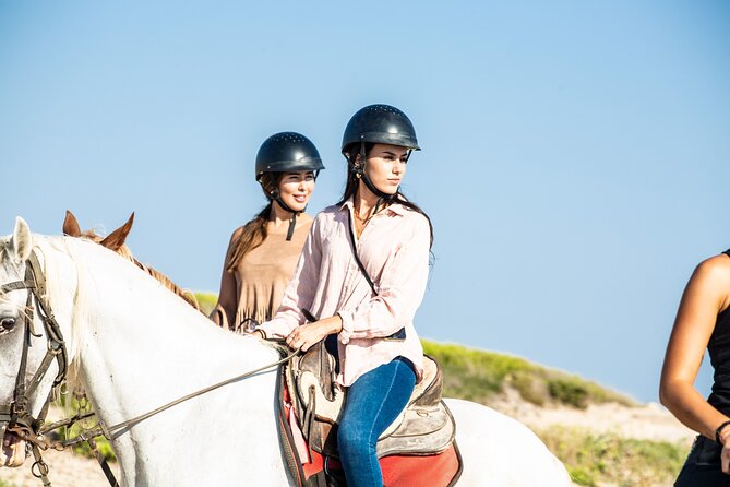 3-Hour Beach Horse Riding to Discover the Beauty of Alcudia Bay - The 3-Hour Route: Forest, Fields, Then Real Beach Time