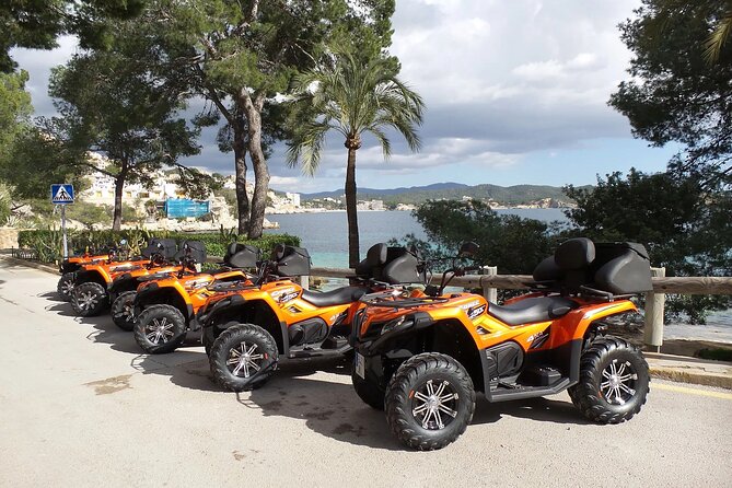 3 hours quad tour from Paguera - Magaluf and Palmanova: the resort side of Mallorca, in one hit