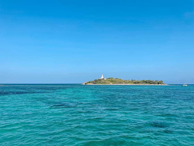 4h Private boat tour north coast of Mallorca - The Food and Drinks: Fresh Island Classics, Not a Random Snack Plate