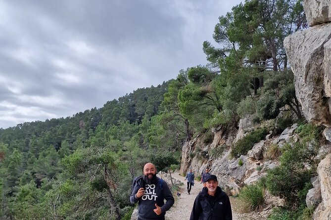 5 hours Mallorca hiking tour in Castell d Alaro - Trail through pine forests, holm oaks, and old stone steps