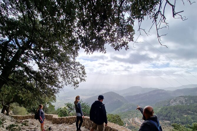 5 hours Mallorca hiking tour in Castell d Alaro - Price, timing, and value for this 5-hour Mallorca hiking tour