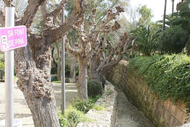 5-hours Tour: Mallorca Inland Charming Villages - Why Mallorca Inland Villages Feel Different Than the Coast