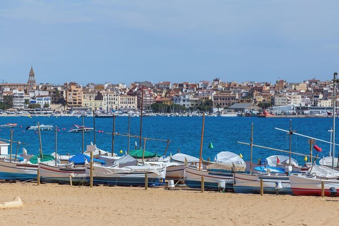 6-Hour Private Tour through the Most Beautiful Coves of Mallorca - Key Highlights You Will Care About