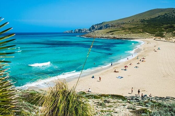 Afternoon Snorkel & Paddle Surf Experience in a Secret Spot - Key highlights to know before you go
