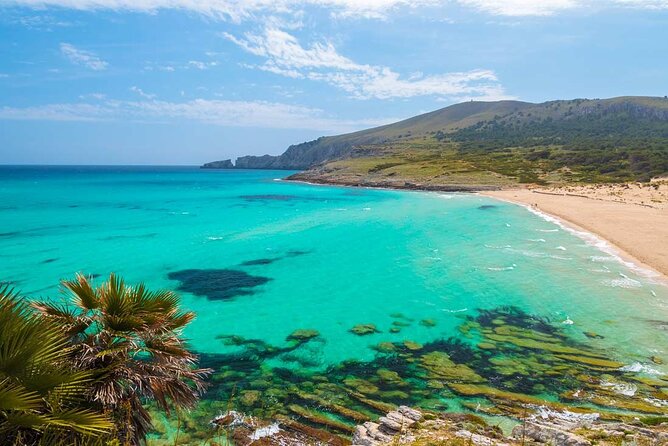 Afternoon Snorkel & Paddle Surf Experience in a Secret Spot - Entering the Deltas at Playa Maioris (the calm-water advantage)