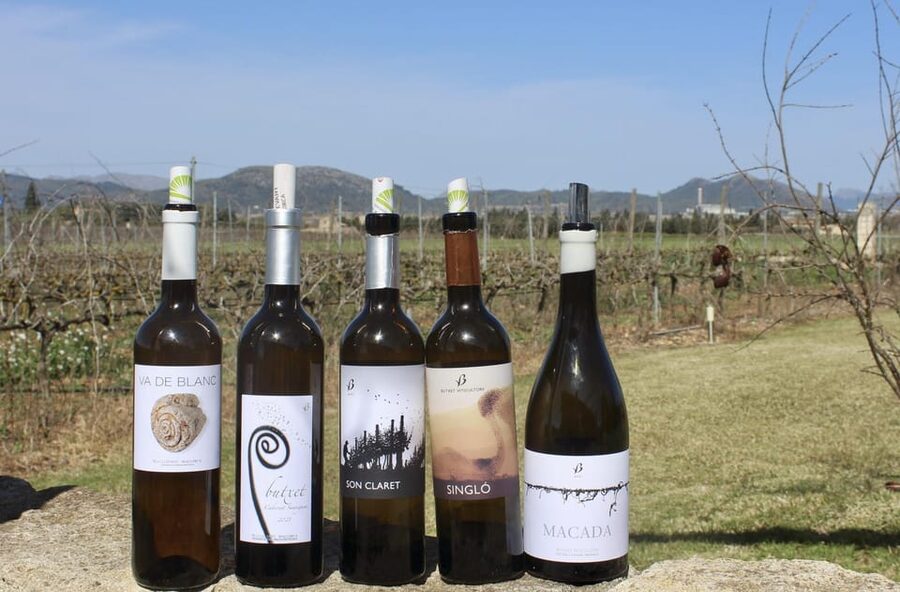 Alcúdia/Can Picafort: Guided Vineyard Visit and Wine Tasting - Key Things I’d Book This For