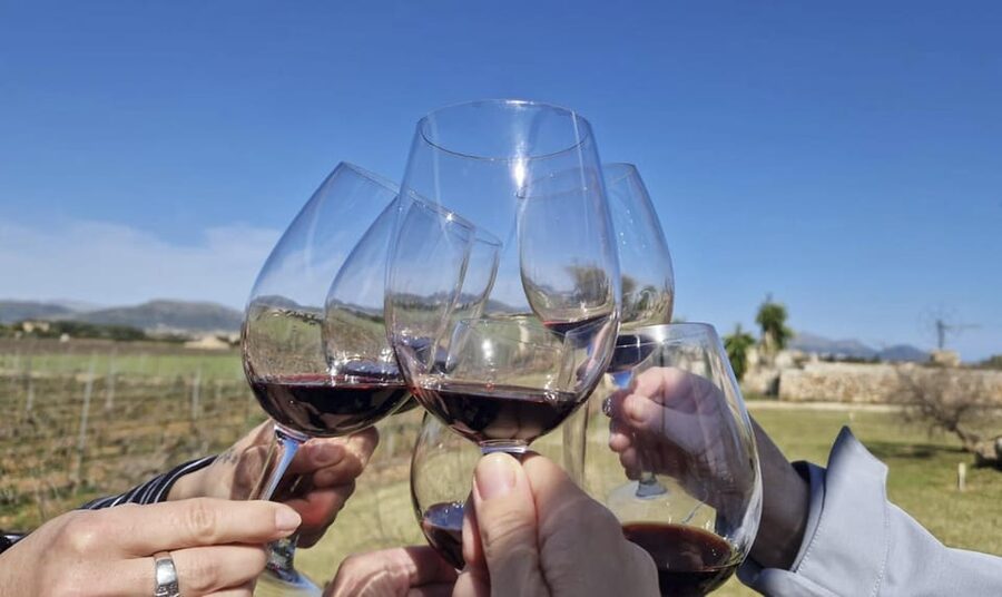Alcúdia/Can Picafort: Guided Vineyard Visit and Wine Tasting - Getting There From Alcúdia, Playa Muro, or Can Picafort