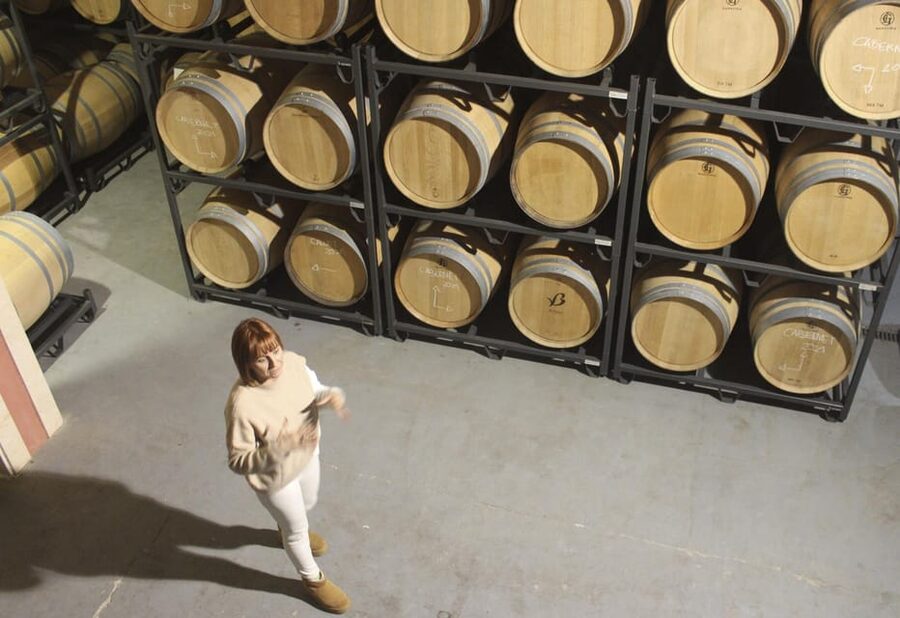 Alcúdia/Can Picafort: Guided Vineyard Visit and Wine Tasting - The Wine Tasting: Five Bottles, Guided Aromas, and Local Nibbles