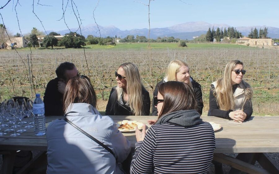 Alcúdia/Can Picafort: Guided Vineyard Visit and Wine Tasting - Local Snacks and Small Food Choices That Make the Tasting Click