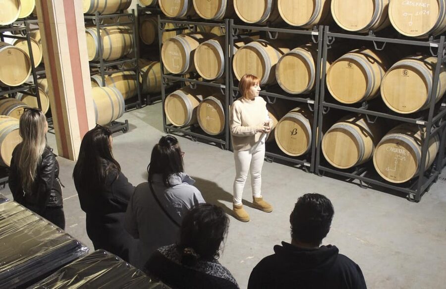 Alcúdia/Can Picafort: Guided Vineyard Visit and Wine Tasting - Buying Wine at Special Prices: Take Home the Bottles You Loved