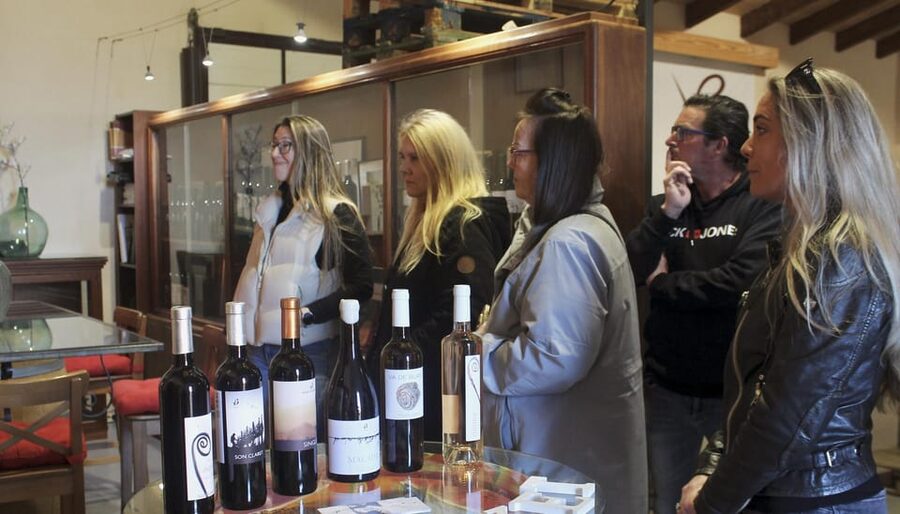 Alcúdia/Can Picafort: Guided Vineyard Visit and Wine Tasting - How Long It Really Takes and What That Means for Your Day