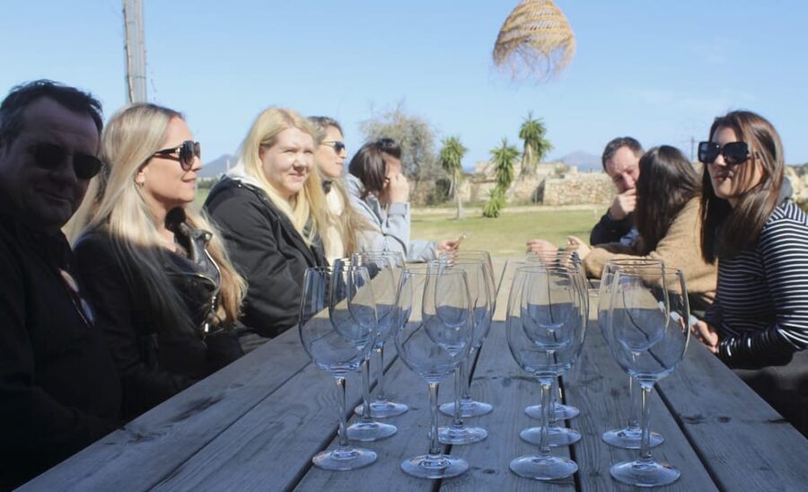 Alcúdia/Can Picafort: Guided Vineyard Visit and Wine Tasting - Who This Tour Suits Best (and Who Might Want a Different Option)