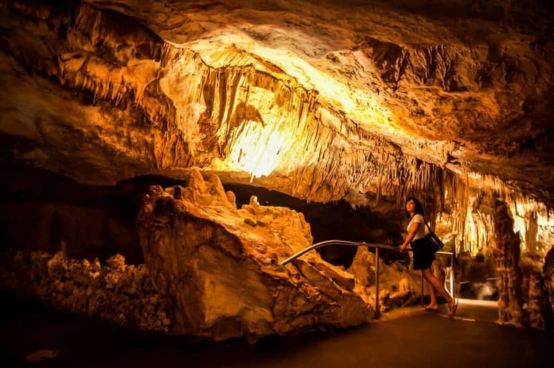 Alcudia: Caves of Drach Tour from the North with Boat Trip - Key Highlights You’ll Actually Feel