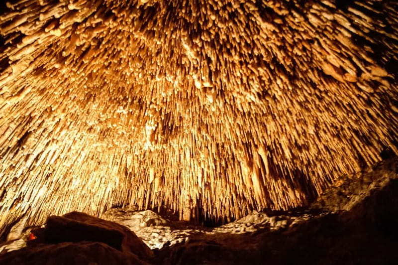 Alcudia: Caves of Drach Tour from the North with Boat Trip - Caves of Drach and Lake Martel: Why This 5 Hour Combo Works