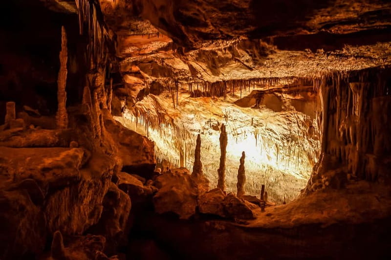 Alcudia: Caves of Drach Tour from the North with Boat Trip - Touring the Caves of Drach: Guided Highlights Plus 300 Steps