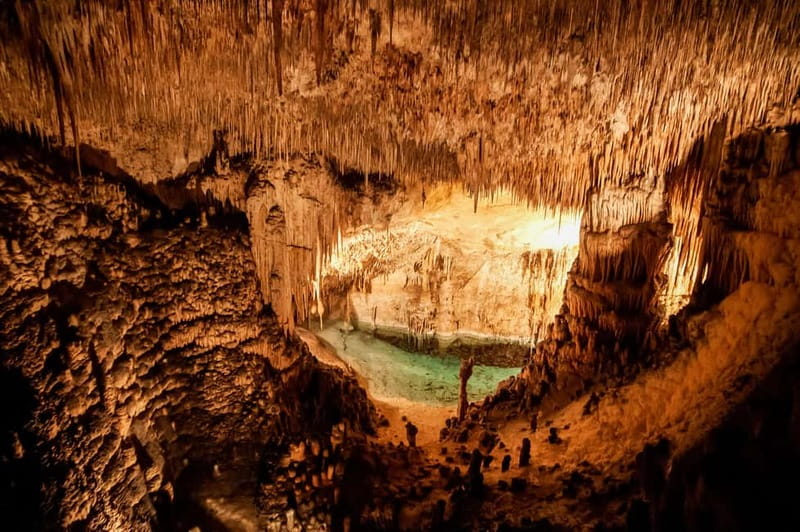 Alcudia: Caves of Drach Tour from the North with Boat Trip - Price and Value: Is $63 a Good Deal for Caves Plus Concert?