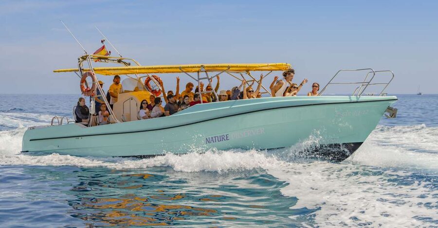 Alcudia: Coll Baix Beach & Sea Caves Cruise with Snorkeling - Coll Baix and the sea caves: what makes this cruise special