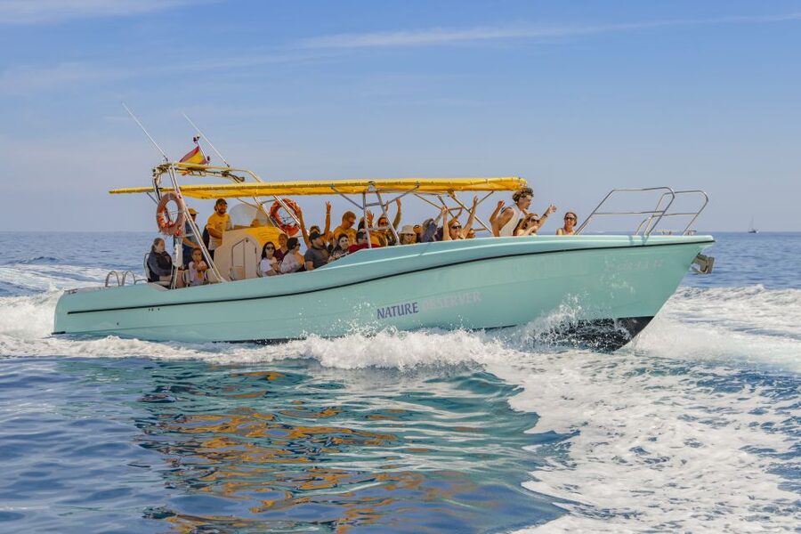 Alcudia: Coll Baix Beach & Sea Caves Cruise with Snorkeling - Getting there in comfort: pickup and port logistics