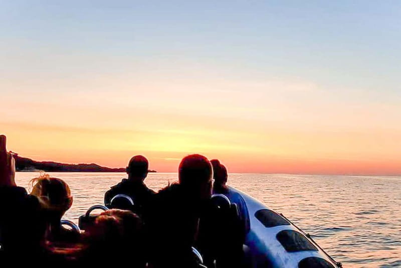 Alcudia: Formentor Beach, Lighthouse Cruise, and Small Group - Who this cruise fits best (and who should think twice)