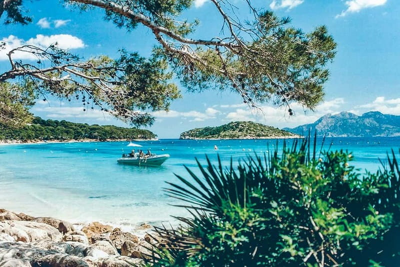 Cala Formentor and the pines above the north coast