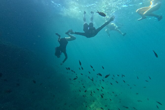 Alcudia: Guided Sea Kayaking & snorkelling Tour (day & sunset) - Meeting point to first paddle: what the start feels like