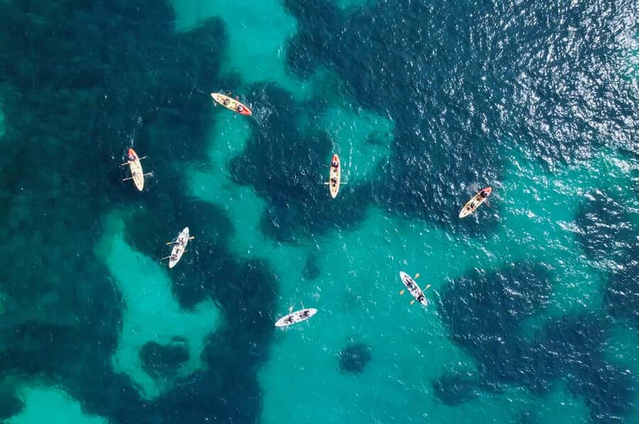 Alcudia: Kayak Tour with Snorkel & Sea Cave Swim - Should you book this tour?