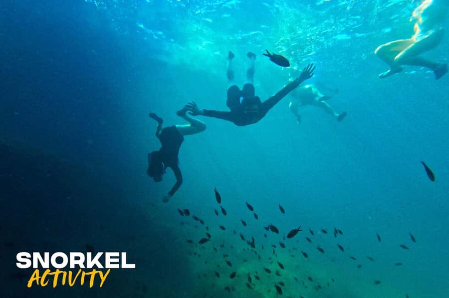Alcudia: Kayak Tour with Snorkel & Sea Cave Swim - Kayaking the cliffs and finding sea caves worth the effort