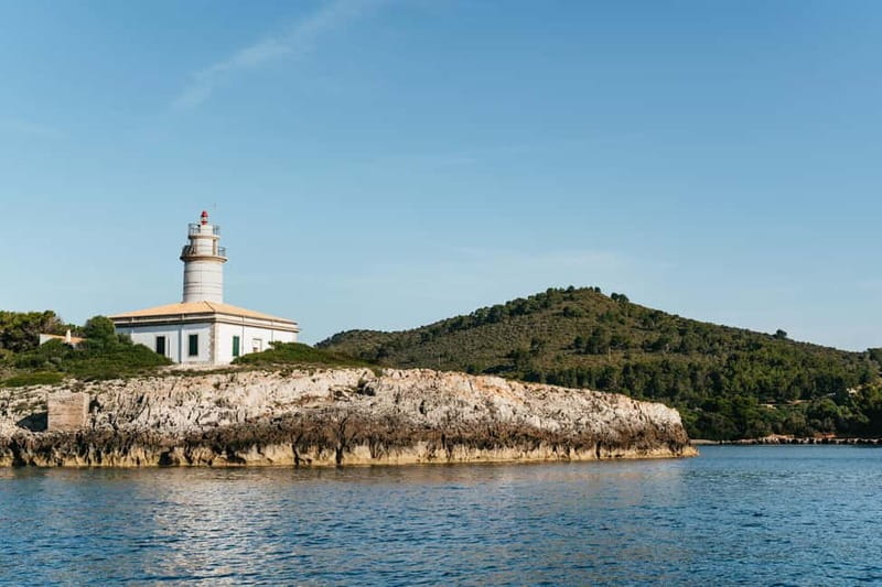 Alcudia or Can Picafort: Dolphin-Watching Cruise - Key highlights that actually matter