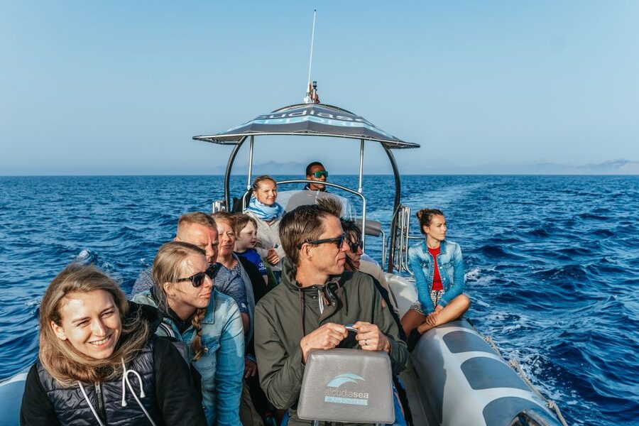 Alcudia or Can Picafort: Dolphin-Watching Cruise - What to bring, plus how to meet up without stress