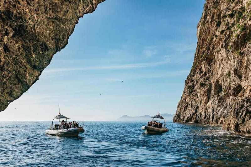 Alcudia or Can Picafort: Dolphin-Watching Cruise - Cruising toward Cabo Formentor, UNESCO cliffs you can see in motion