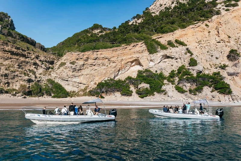 Alcudia or Can Picafort: Dolphin-Watching Cruise - Es Coll Baix swim stop: the payoff cove, with limited time