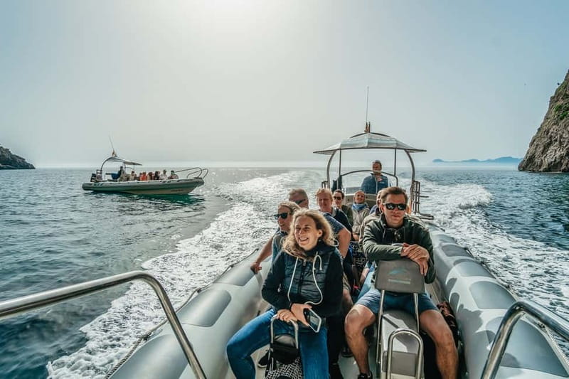 Alcudia or Can Picafort: Dolphin-Watching Cruise - The boat ride factor: speed, wind, and motion sickness tips