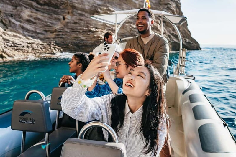 Alcudia or Can Picafort: Dolphin-Watching Cruise - Price and value: what $100 buys you, and what it does not
