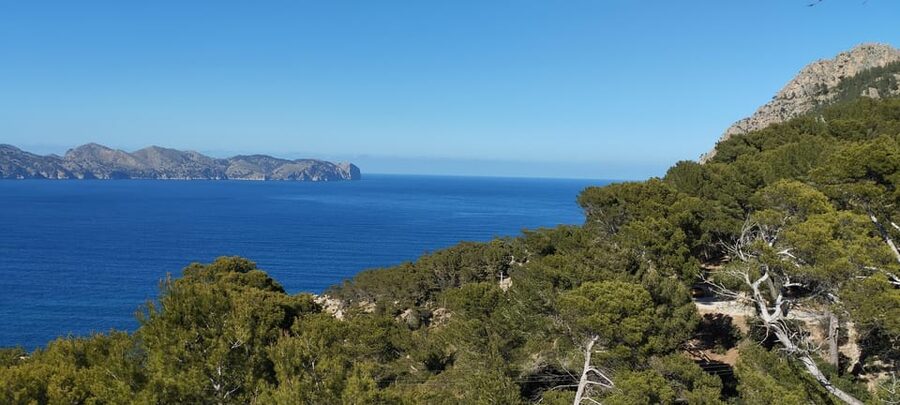 Alcudia: Quad Sightseeing Tour with Viewpoints - Price and value: about $100 for 2 hours of guided adrenaline