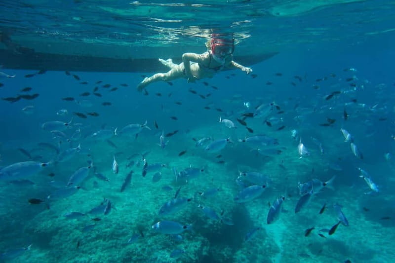 Alcudia: Sea Caves Coves and Snorkeling in small groups - Alcudia to the Llevant Nature Park: Why This Coast Is the Point