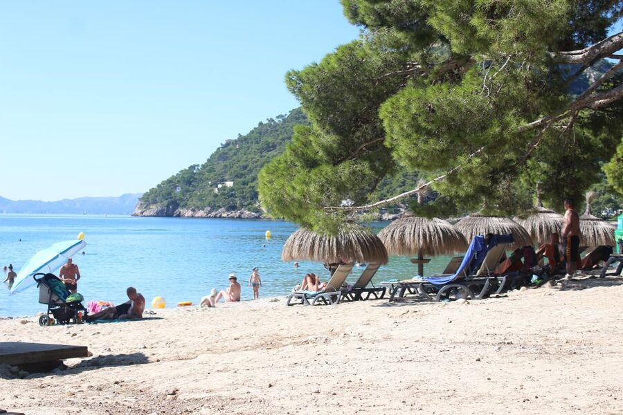Alcudia: Trip to Formentor Beach - FAQ