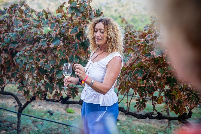 Alcudia Winecellar Tour with Vineyard Visit, Tasting of 5 Wines - The valley and maritime influence that shapes the flavors