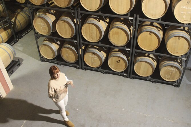 Alcudia Winecellar Tour with Vineyard Visit, Tasting of 5 Wines - Inside the cellars: quality over quantity at about 15,000 bottles