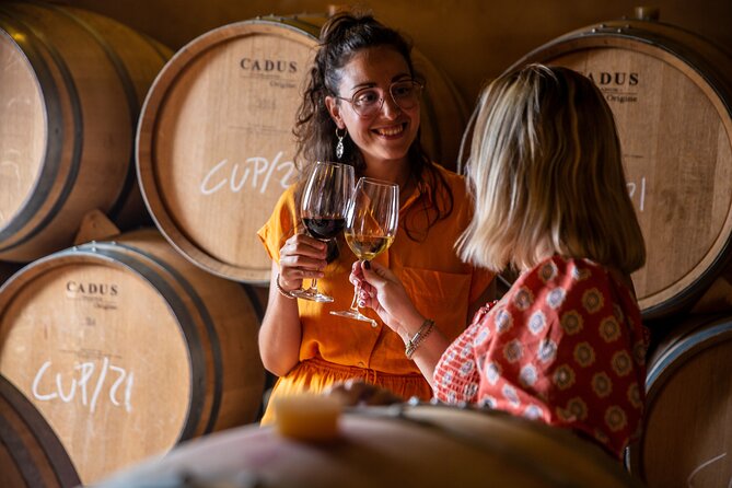 Alcudia Winecellar Tour with Vineyard Visit, Tasting of 5 Wines - Tasting 5 onsite wines with locally sourced snacks