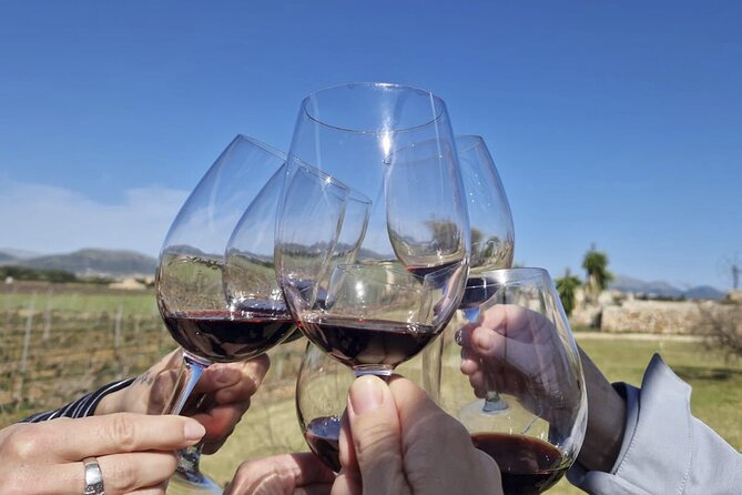 Alcudia Winecellar Tour with Vineyard Visit, Tasting of 5 Wines - Who should book this Alcudia winecellar tour