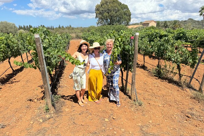 AVENIDA WINE EXPERIENCE- Treasures of the local wine - Pairing matters: the cold Mallorcan specialties with your wines