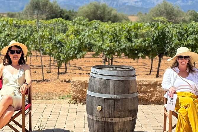 AVENIDA WINE EXPERIENCE- Treasures of the local wine - Should you book Avenida Wine Experience?