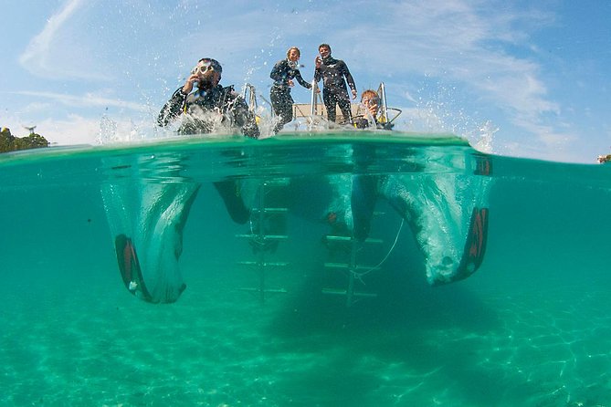 Beginners Diving in Santa Ponsa - Pickup from Calviá-area hotels and how to plan your afternoon